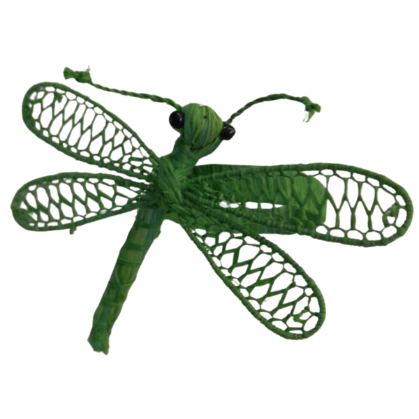 Libelula con cuerpo completo de verde oscuro