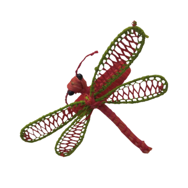 Libelula roja acon bordes verdes en laas alas y aro rojo