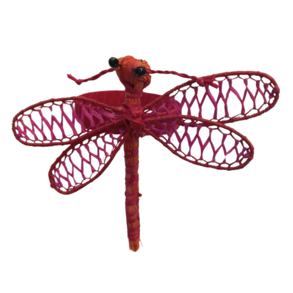 Libelula roja con detalles fucsia en las alas y aro rojo