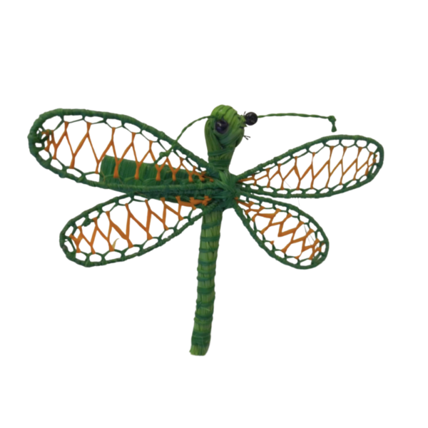 Libelula verde oscuro con lineas verde claro en el cuerpo y detalles naranjas en las alas y aro verde