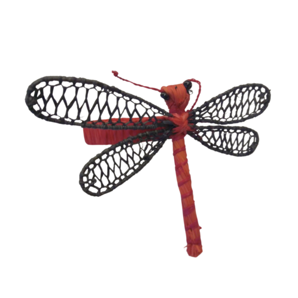 Libelula roja con lineas en el cuerpo de un tono mas oscuro con detalles negros en las alas y aro rojo