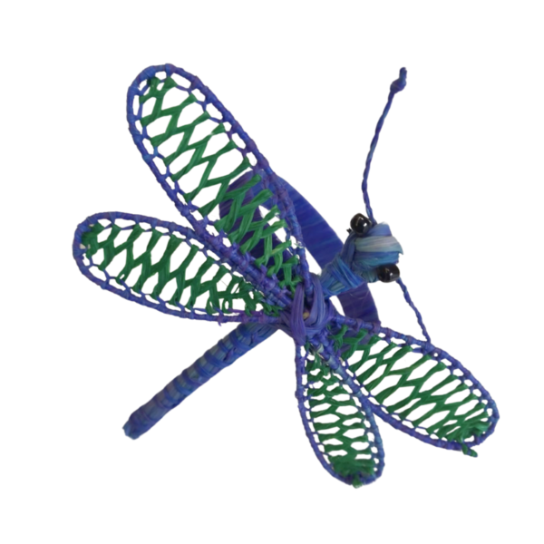 Libelula azul con detalles verde oscuro en las alas y aro azul