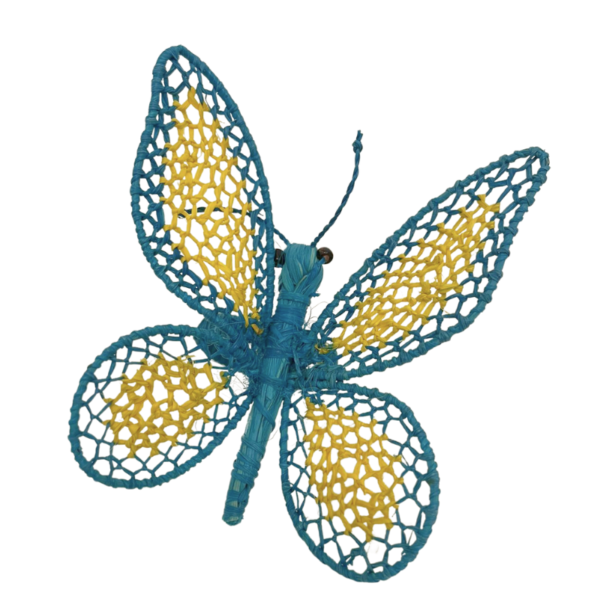 Mariposa turquesa con detalles amarillos en las alas