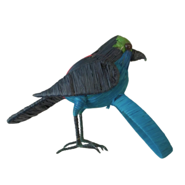 pajarito turquesa con detalle verde al rededor de sus ojos y aro turquesa