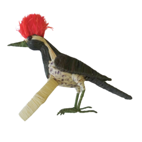 pajarito verde oscuro con pecho crema y puntos negros con cresta grande roja