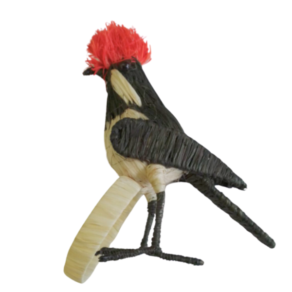 Pajaro negro con detalle crema en el pecho y cresta corta de color rojo y detalles a los costados de su cuello crema