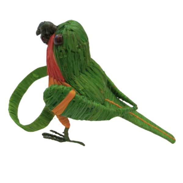 Pajarito verde con detalle de linea naranja en las alas y aro verde