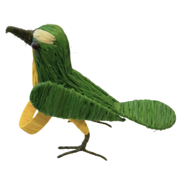 Pajarito verde oscuro con cola ancha y pecho amarillo y detalle crema en su cabeza, aro amarillo