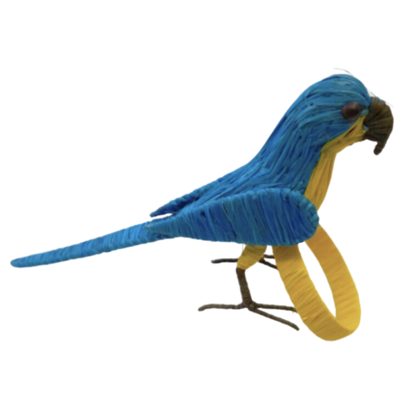 Pajarito turquesa con pecho amarillo y aro amarillo