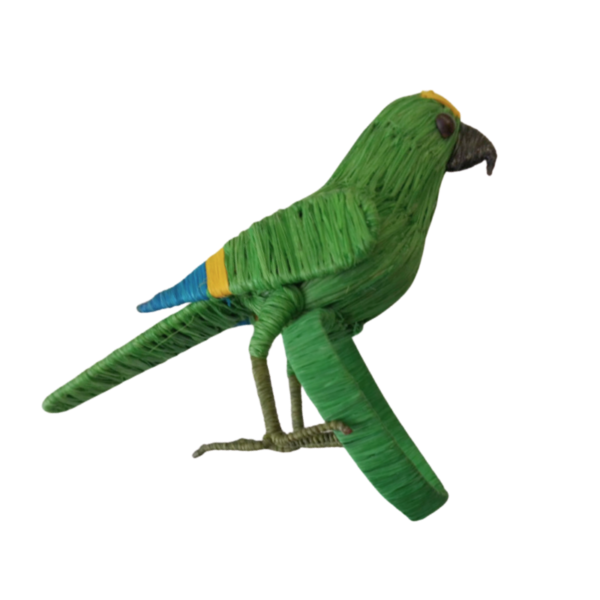 Pajarito verde oscuro con detalles azul y amarillo en las alas con aro verde