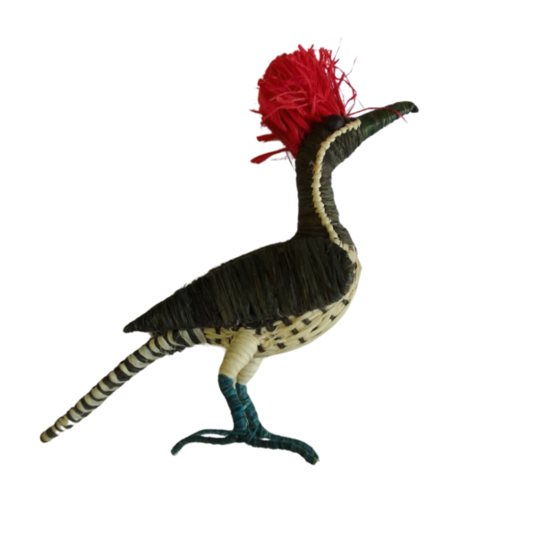 Pajarito negro con pecho crema y puntos negros, cresta color rojo y patas turquesas